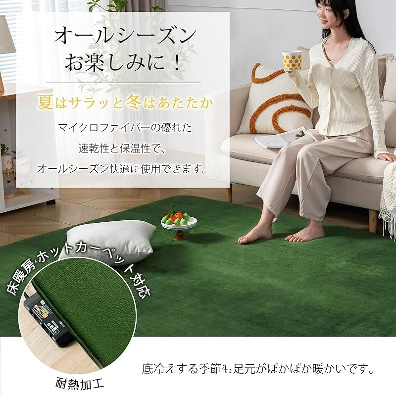 Keusnix ラグ カーペット 低反発 ラグマット 厚25mm 絨毯 厚手 3畳 200x245cm 滑り止め付 抗菌 防ダニ加工 オールシーズン快適 リビングマット ふわっと手触り じゅうたん こたつマット 床暖房 ホットカーペット対応 グリーン MARWIL-DEMENAGEMENTS_CH
