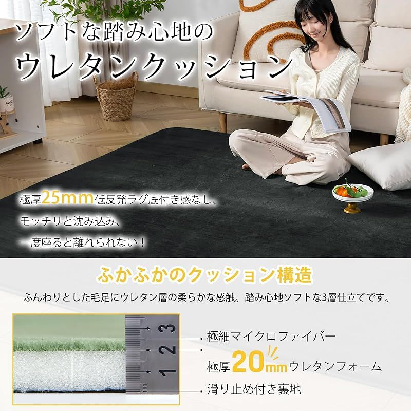 Keusnix ラグ カーペット 低反発 ラグマット 厚25mm 絨毯 厚手 3畳 200x245cm 滑り止め付 抗菌 防ダニ加工 オールシーズン快適 リビングマット ふわっと手触り じゅうたん こたつマット 床暖房 ホットカーペット対応 ブラック