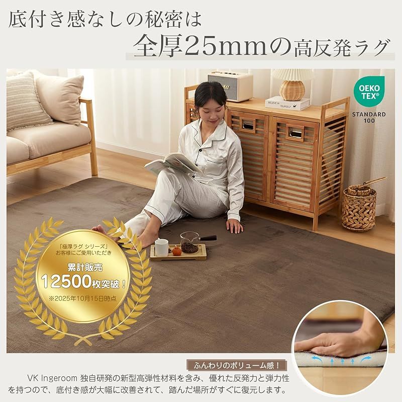 VK Ingeroom カーペット ラグ 厚25mm 約3畳 厚手 ラグマット 防音 滑り止め付 抗菌 防臭 防ダニ 低ホルム ふわっと手触り高反発 床暖房ホットカーペット対応 冬用 北欧 おしゃれ こたつ敷きマット 200×250cm カーキブラウン