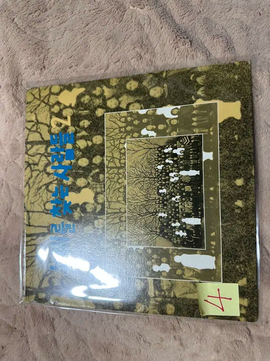 一曲 求めた ペルソナ 2 家 ソラ 青みがかった 早い LP