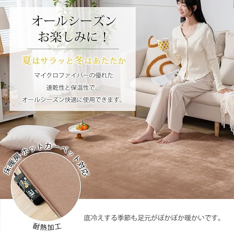 Keusnix ラグ カーペット 低反発 ラグマット 厚25mm 絨毯 厚手 4.5畳 200x295cm 滑り止め付 抗菌 防ダニ加工 オールシーズン快適 リビングマット ふわっと手触り じゅうたん こたつマット 床暖房 ホットカーペット対応 モカ MARWIL-DEMENAGEMENTS_CH