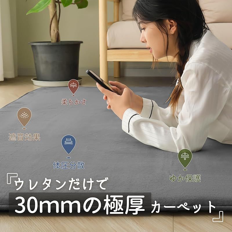 HARUMIN 厚30mm カーペット ラグ 厚手 約2畳 ラグマット 絨毯 無地 防音 抗菌 防臭 防ダニ 低ホルム 北欧 おしゃれ 滑り止め付き 床暖房ホットカーペット対応 こたつ敷きマット 高反発 ゆか保護 185×185cm ダークグレー