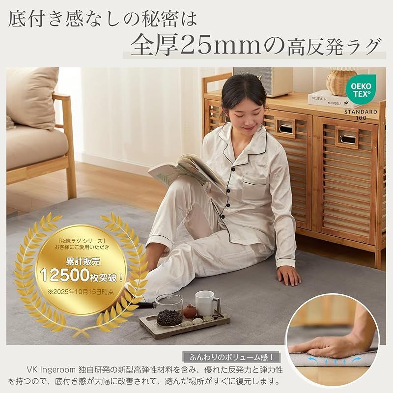 VK Ingeroom カーペット ラグ 厚25mm 約3畳 厚手 ラグマット 防音 滑り止め付 抗菌 防臭 防ダニ 低ホルム ふわっと手触り高反発 床暖房ホットカーペット対応 冬用 北欧 おしゃれ こたつ敷きマット 200×250cm グレー