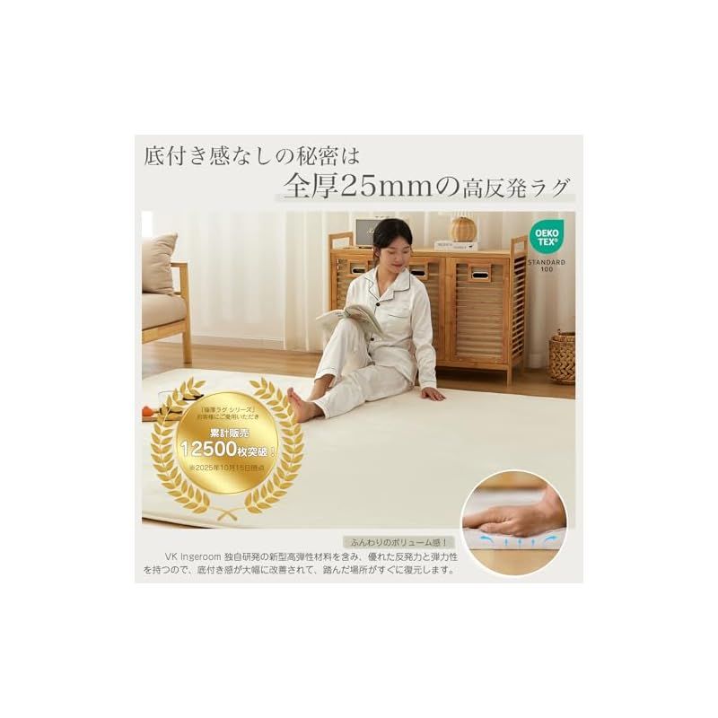 VK Ingeroom カーペット ラグ 厚25mm 約3畳 厚手 ラグマット 防音 滑り止め付 抗菌 防臭 防ダニ 低ホルム ふわっと手触り高反発 床暖房ホットカーペット対応 冬用 北欧 おしゃれ こたつ敷きマット 200×250cm アイボリー