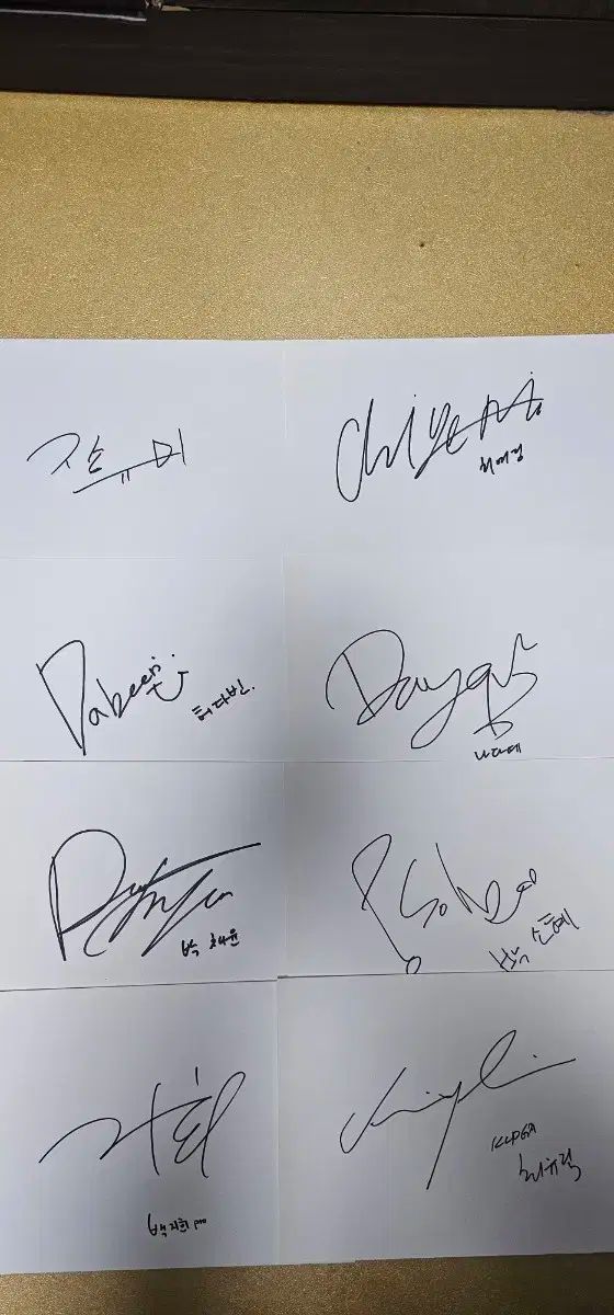 レディース ゴルフ サイン入り 紙 サイン LLC-HASEGAWATOSO_COM