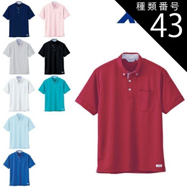 高級品種特別価格セット！ インドネシア多肉 直輸入 プリンス錦