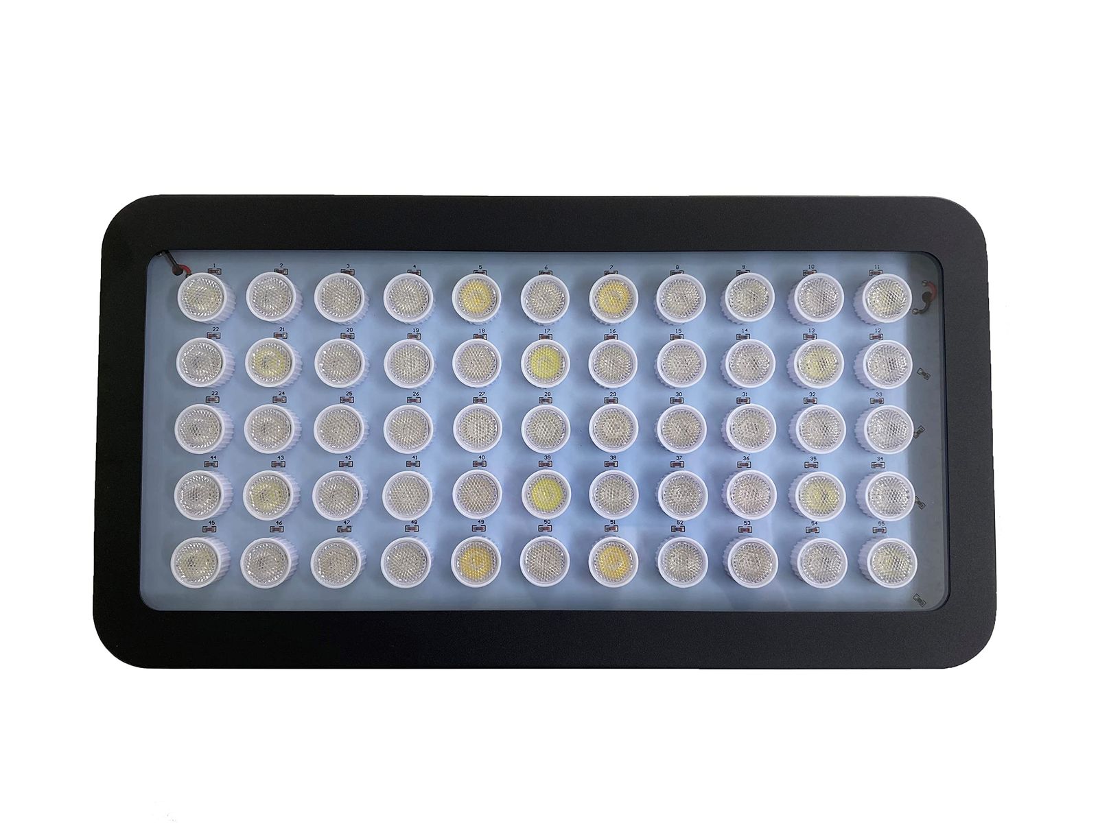 LED水槽照明 ブラックボックス 2台セット 珊瑚水槽照明 LEDライト