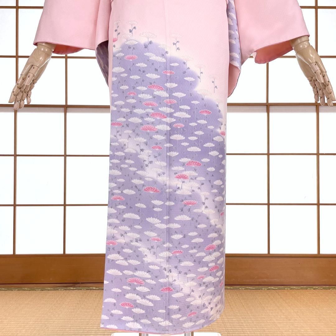 付下げ着物・名古屋帯 2点セット 正絹 菊花 薄桃色から藤色のぼかし