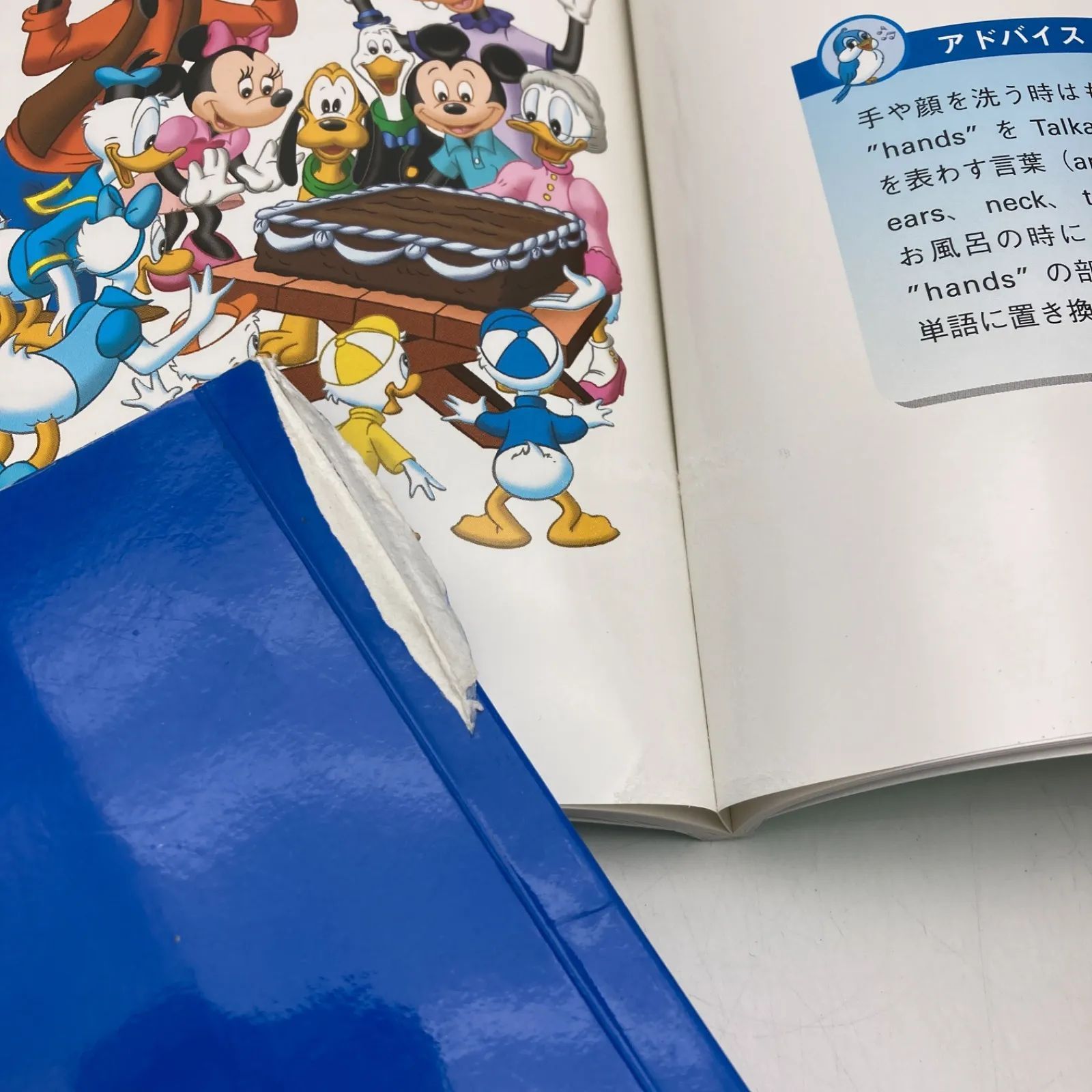 シングアロング 新子役DVD ディズニー英語システム DWE 1000726 - メルカリ