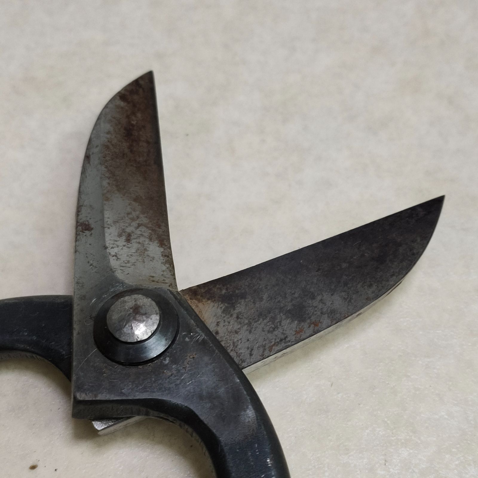 國治作 花鋏 東鋏 国治 いけばな鋏 花鋏 華道 - メルカリ