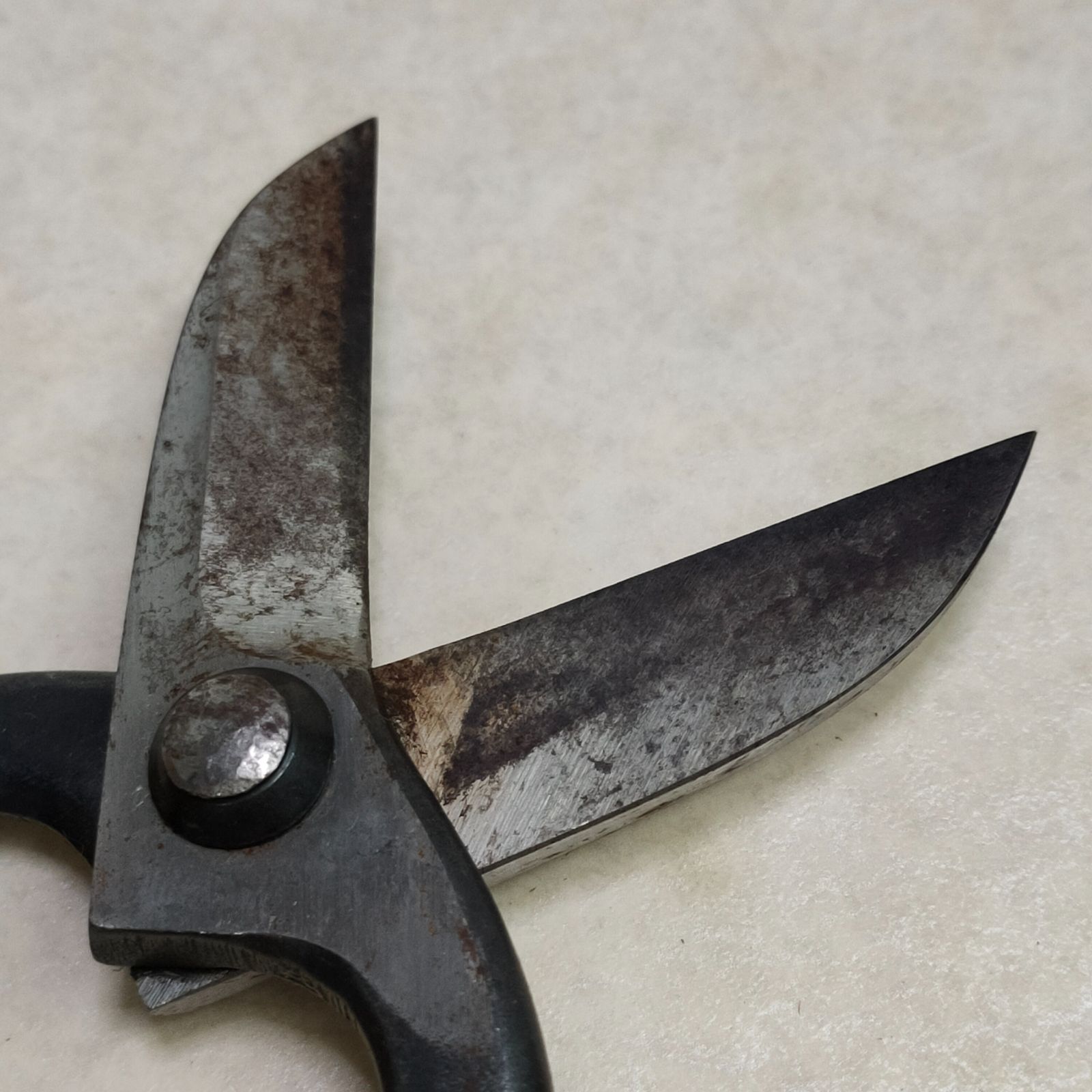 國治作 花鋏 東鋏 国治 いけばな鋏 花鋏 華道 - メルカリ