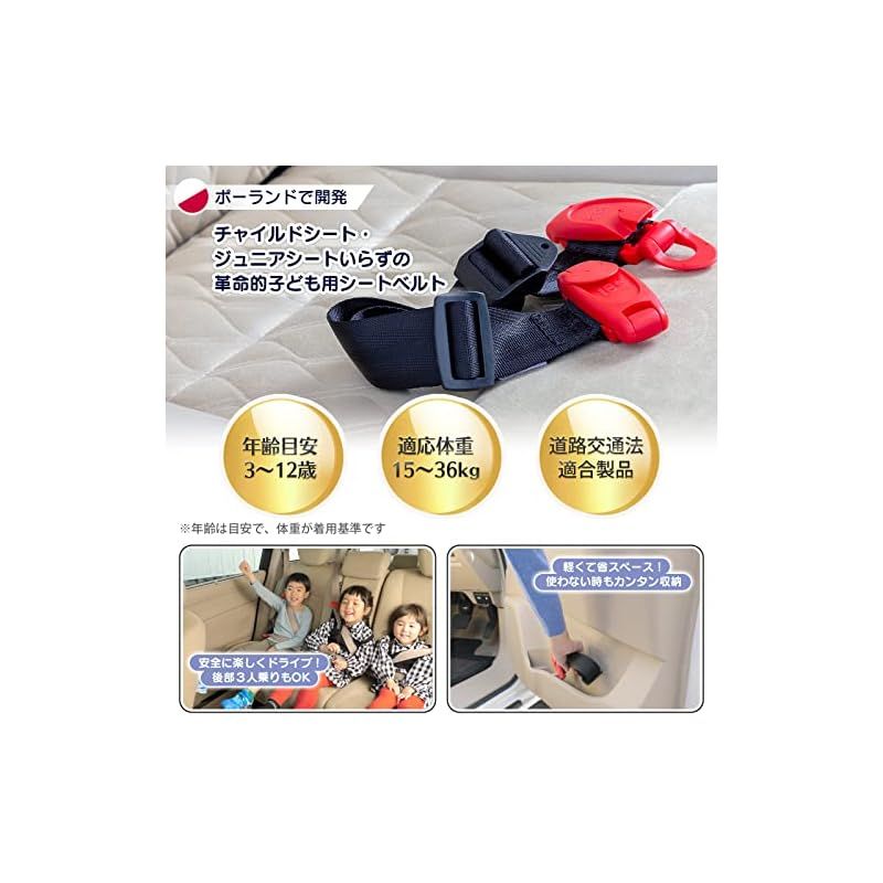 Eマーク 道路交通法適合