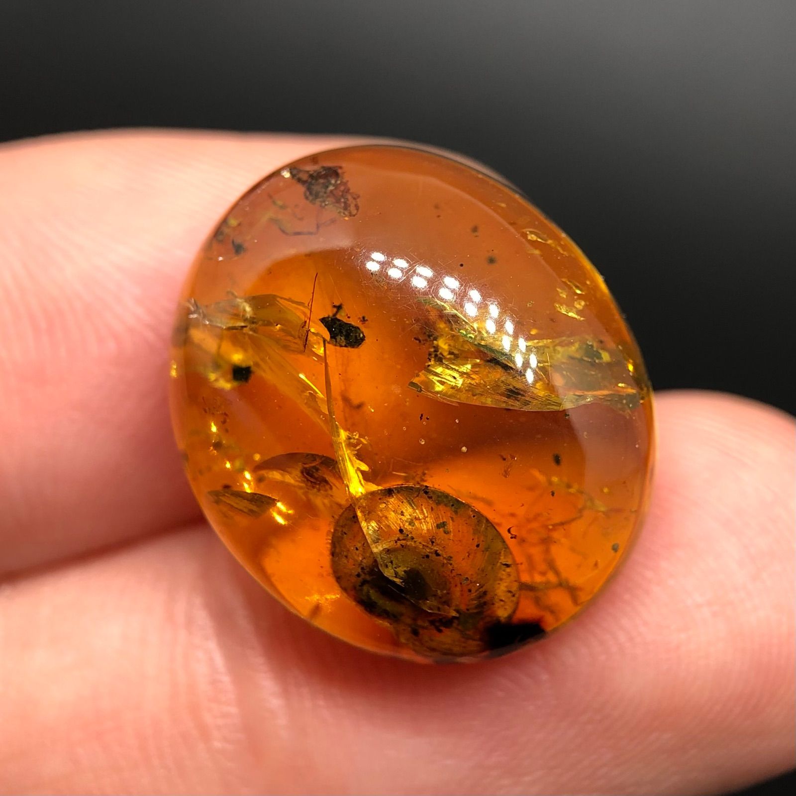 希少] 天然 非加熱 虫入り琥珀 ルース バーマイト かたつむり 8.95ct 1