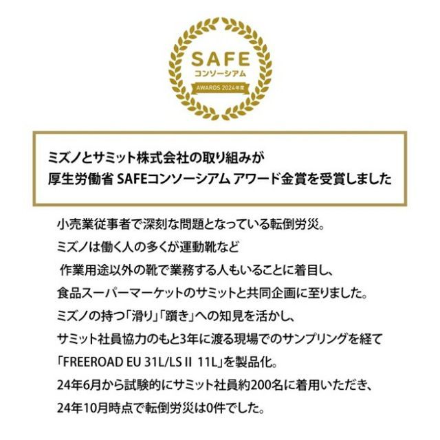 フリーロードEU 31