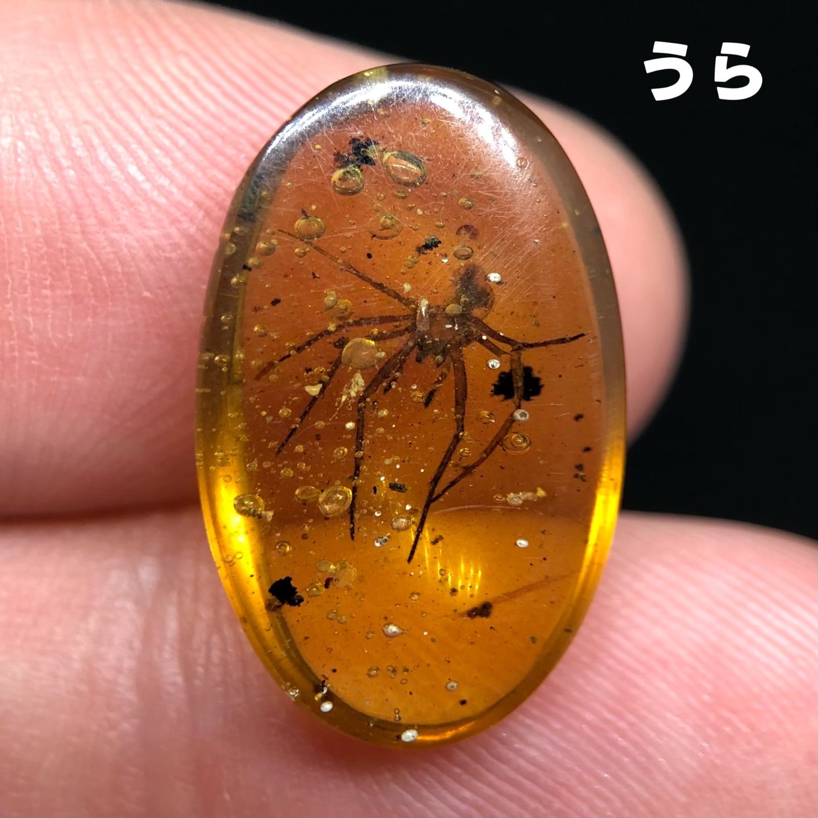 バーマイト クモ