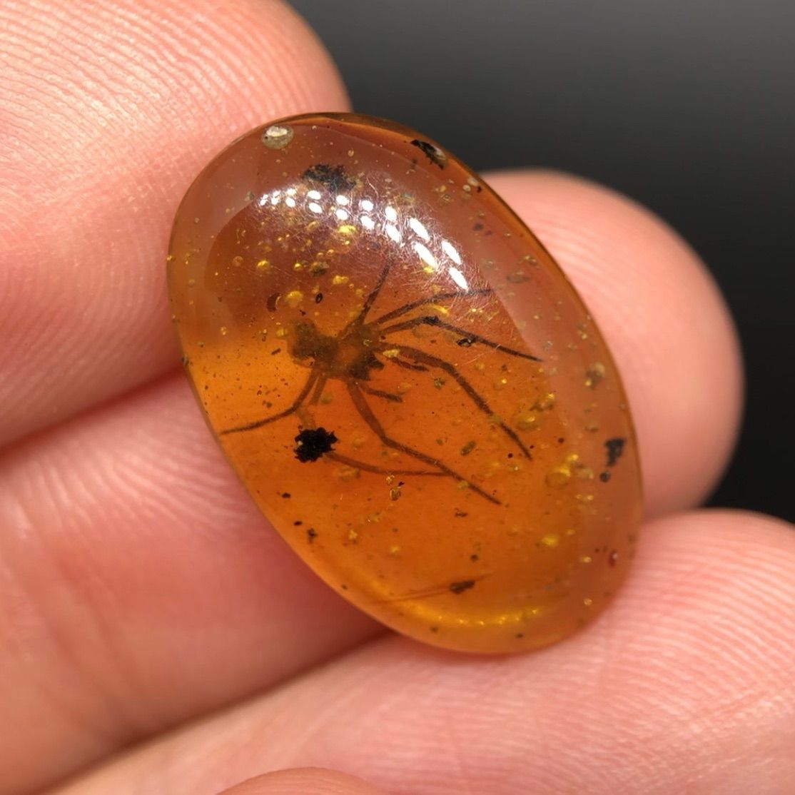 天然 非加熱 虫入り琥珀 ルース バーマイト クモ 4.15ct 1点物 CGL鑑別書付き NEXPOTALLINN_EU