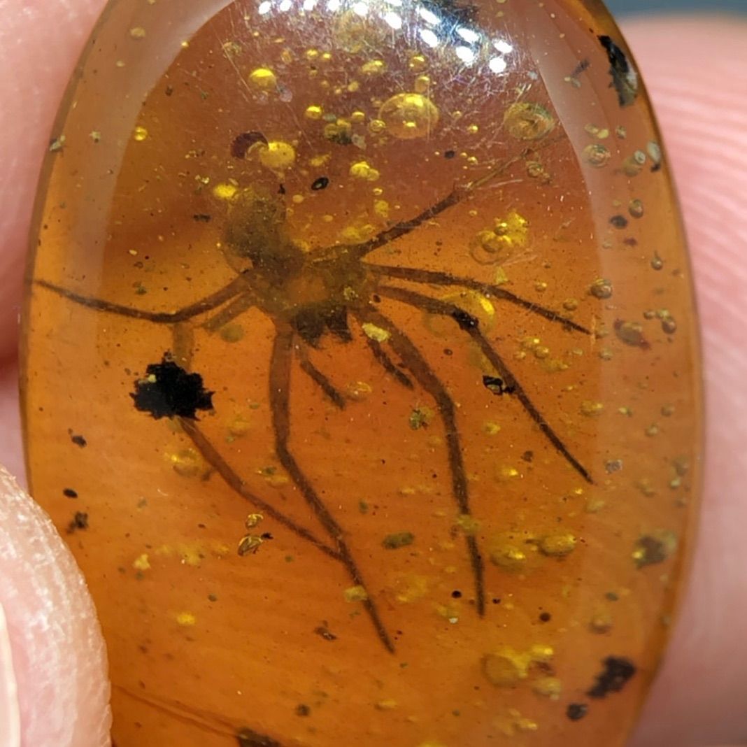 天然 非加熱 虫入り琥珀 ルース バーマイト クモ 4.15ct 1点物 CGL鑑別書付き