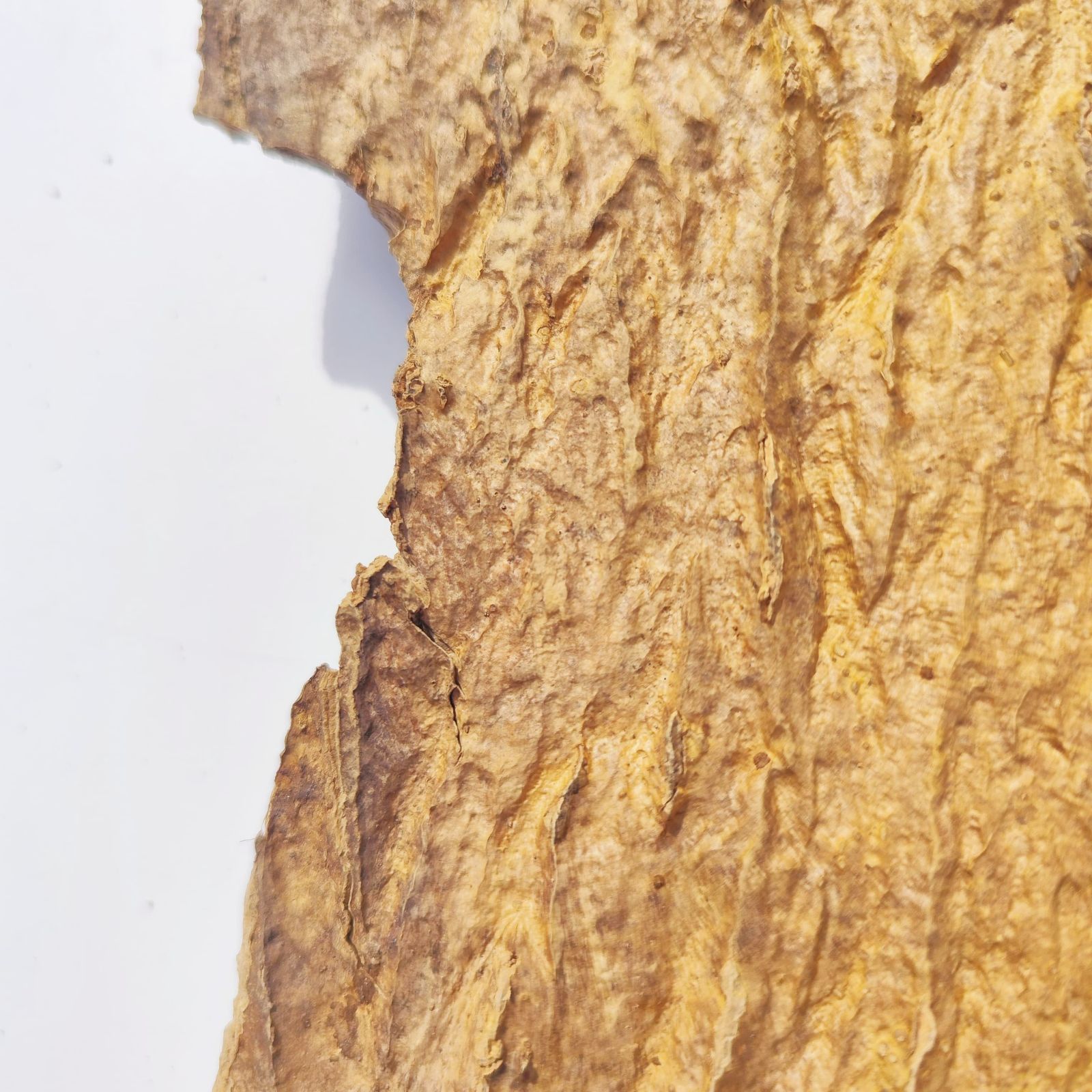 c785 お買得品 ポルトガル産 厚め コルク樹皮 コルク板 バージンコルク