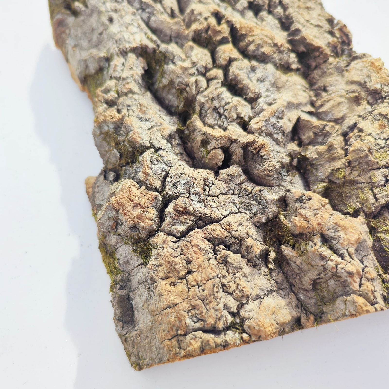 25D712 ポルトガル産 キャノンコルク コルク樹皮 バージンコルク