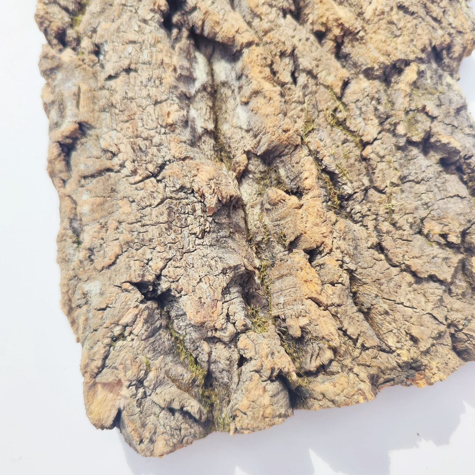 c785 お買得品 ポルトガル産 厚め コルク樹皮 コルク板 バージンコルク