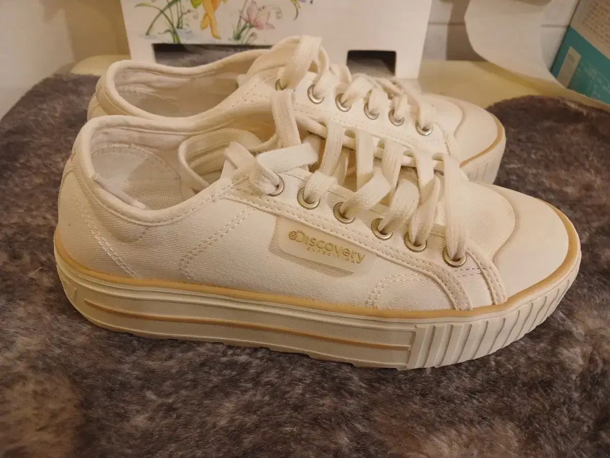 リー レディース スニーカー サイズ 230