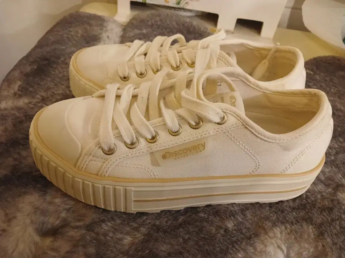 リー レディース