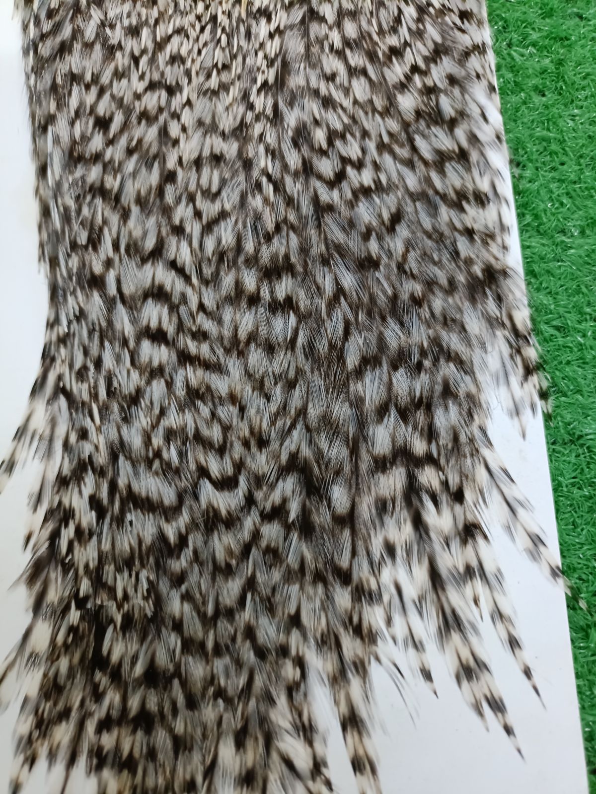  フライ マテリアル セット ＃ ホワイティング ホフマン ハックル フライマテリアル フライ