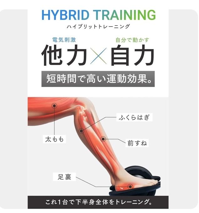 MYTREX マイトレックス ELEXAFOOT MT-EF22B A2 LLC-HASEGAWATOSO_COM