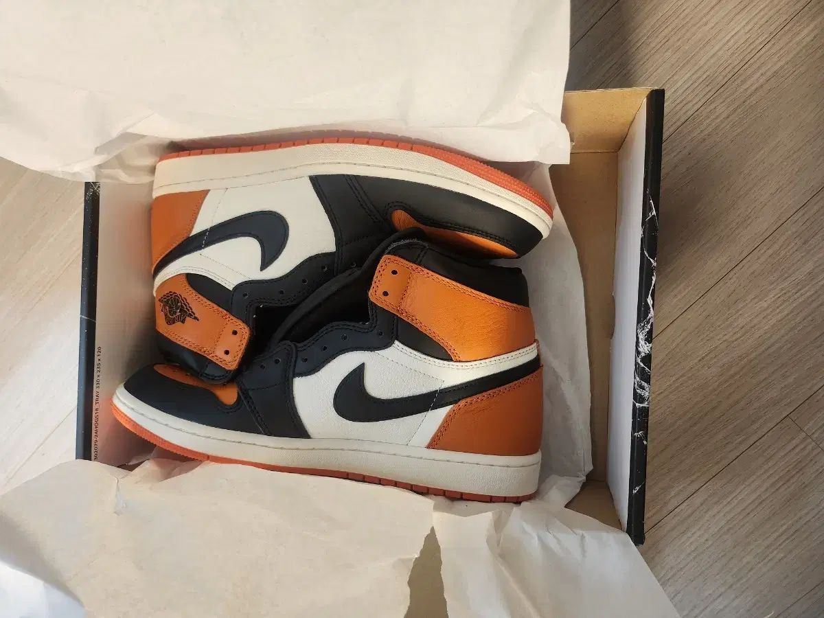 ナイキ エア ジョーダン 1 OG バックボード 3 0 275mm