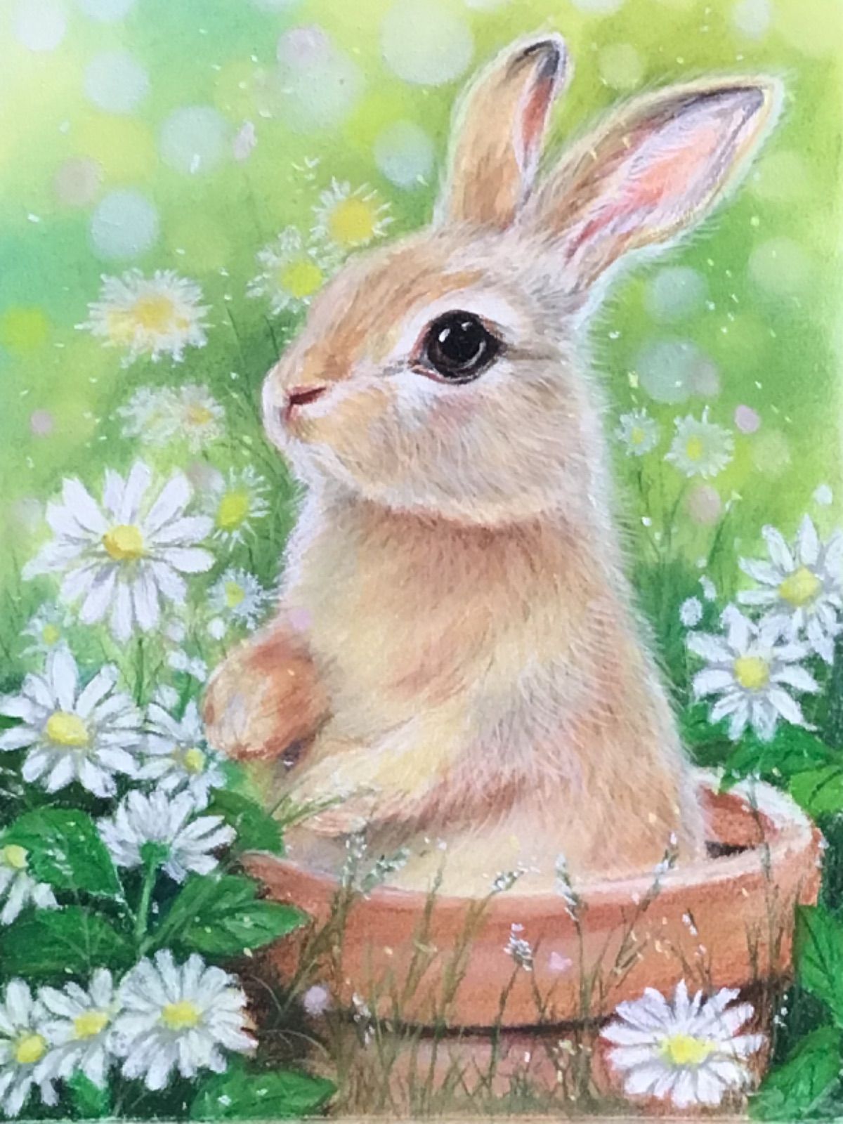 犬 - ハンドメイドパステル画 画 花 絵画の人気通販 happy dog