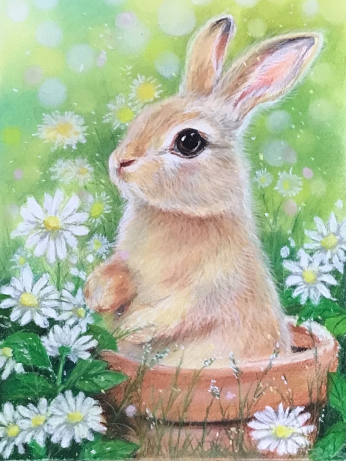 happy rabbit ハンドメイドパステル画 絵画アート原画 白馬と少女