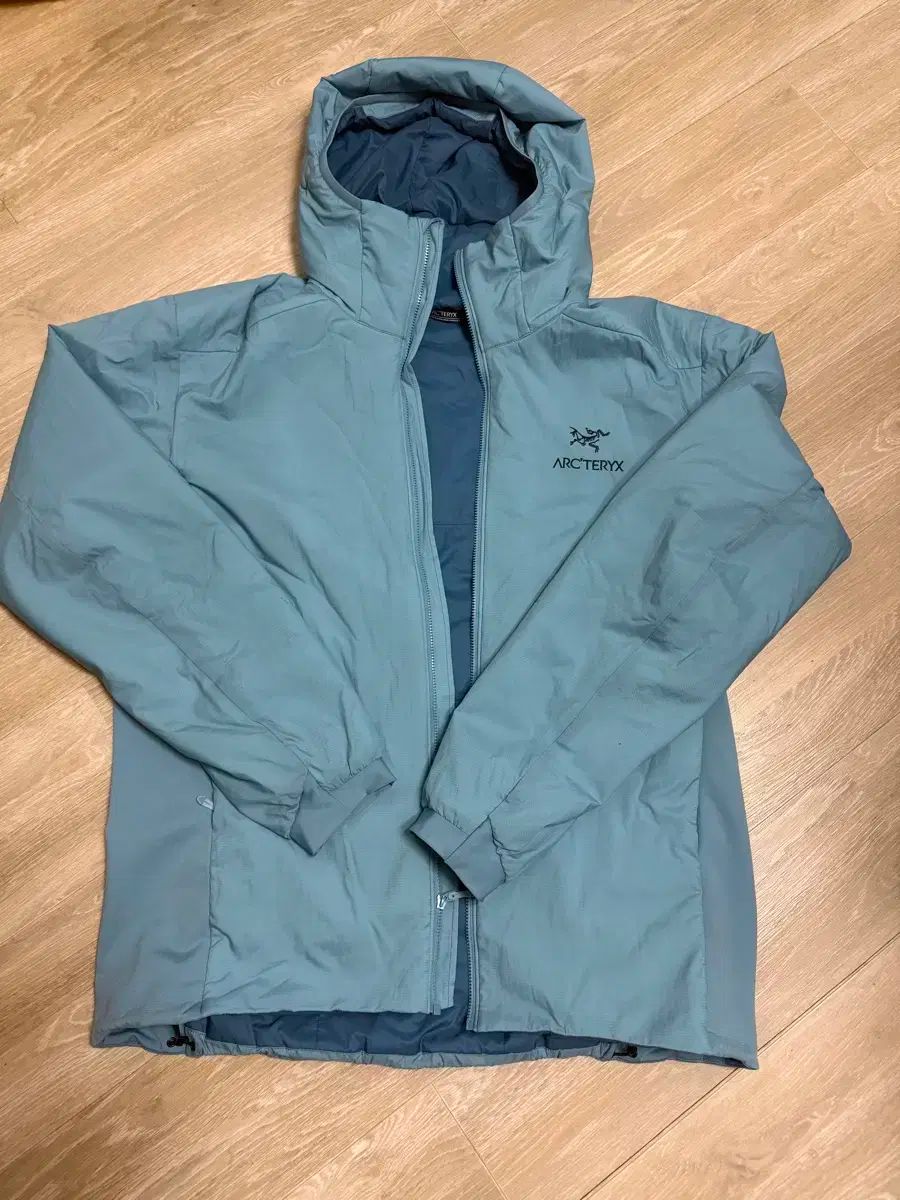 ARC TERYX アトム ソールレス L