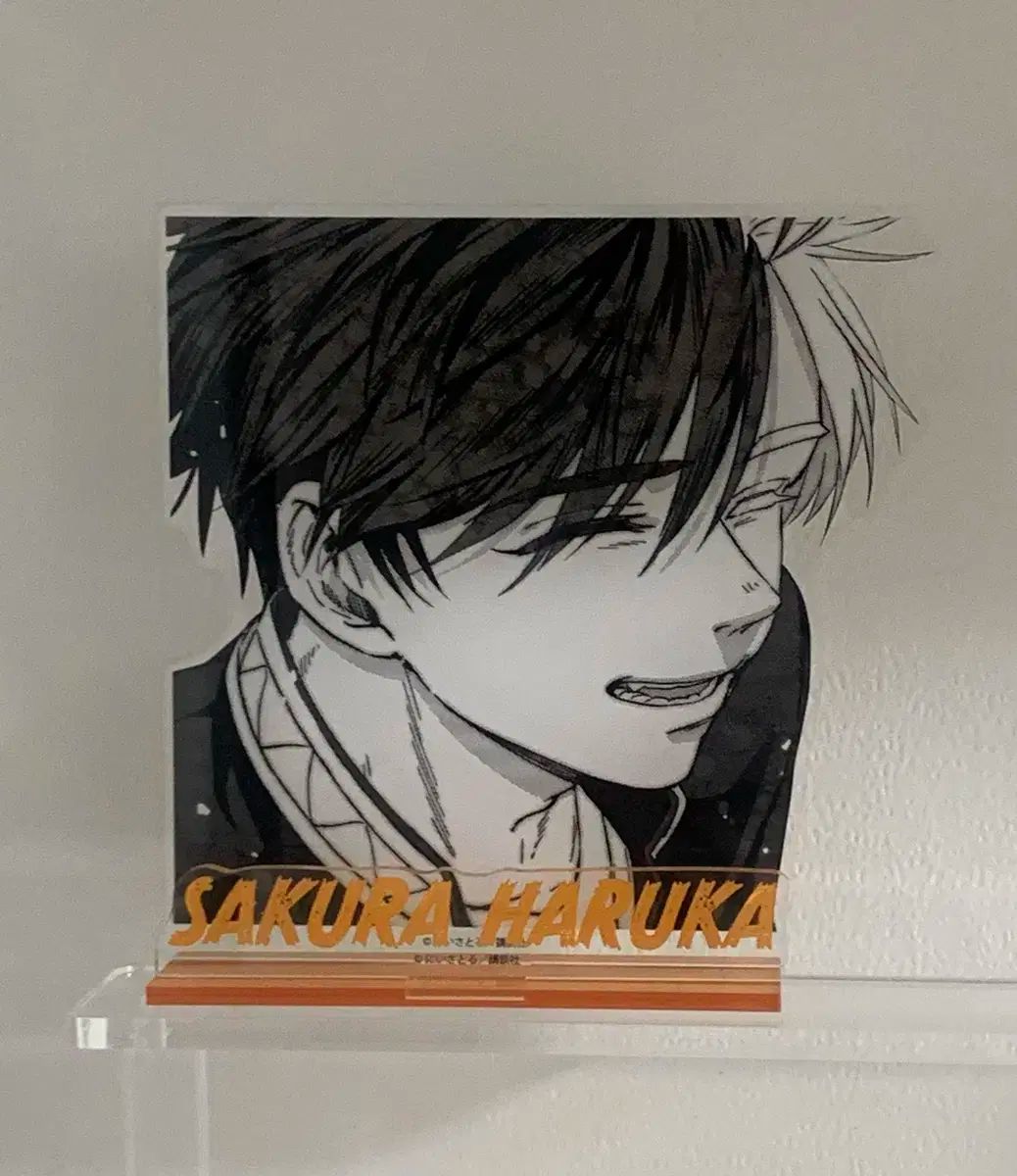 WIND AND WISH ブレーカー COOGI MATE 原画 アクリル スタンド さくら
