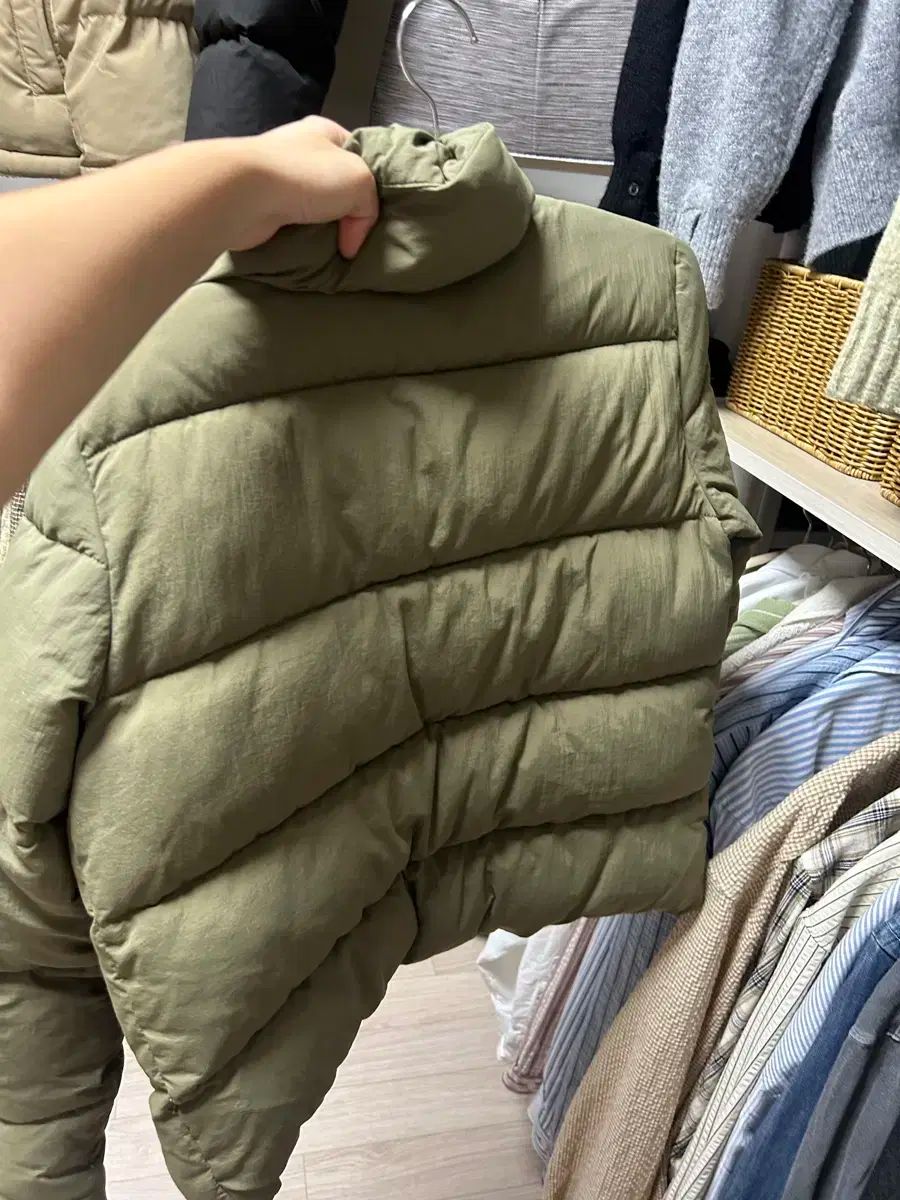 トミーヒルフィガー