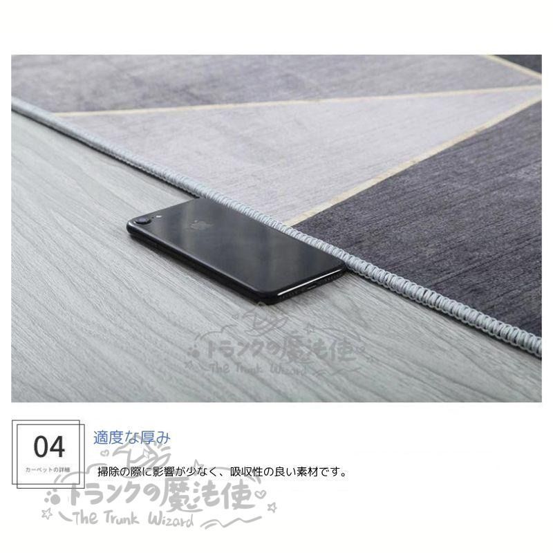 カーペット 絨毯 ラグ 300cm×200cm 280cm×180cm ホテルライク インテリア おしゃれ 洗える マット シンプル モダン 韓国インテリア 幾何学 抽象柄 5デザイン CCDT1031p020 MARWIL-DEMENAGEMENTS_CH