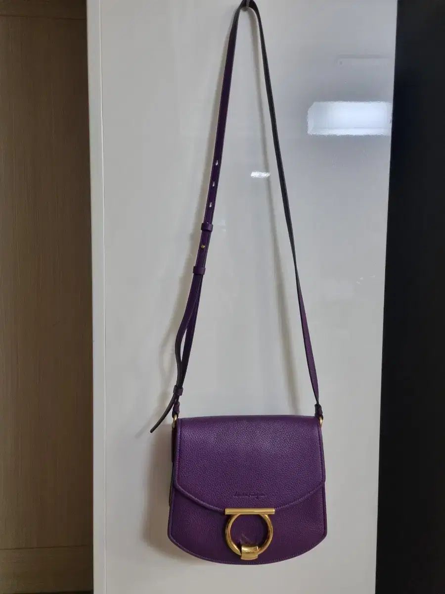 FERRAGAMO フェラガモ ガンチーニ ショルダーバッグ クロス パープル DECORATOM_COM_BR