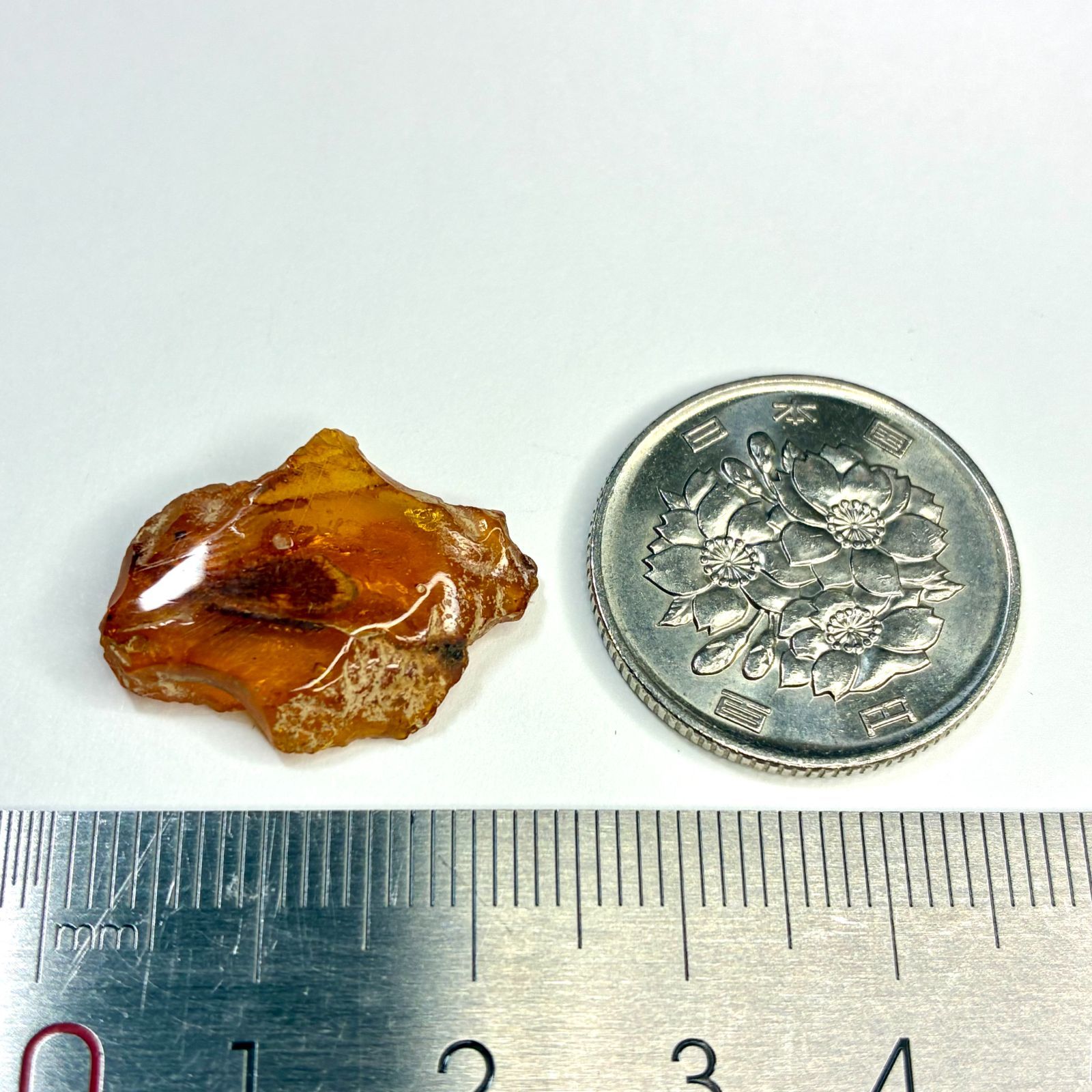 琥珀の半化石のコーパル 希少 虫入り パワーストーン ストア 琥珀の半