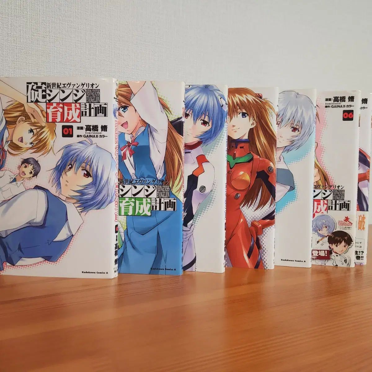 エヴァンゲリオン 碇 シンジ 育成計画 漫画本 一般