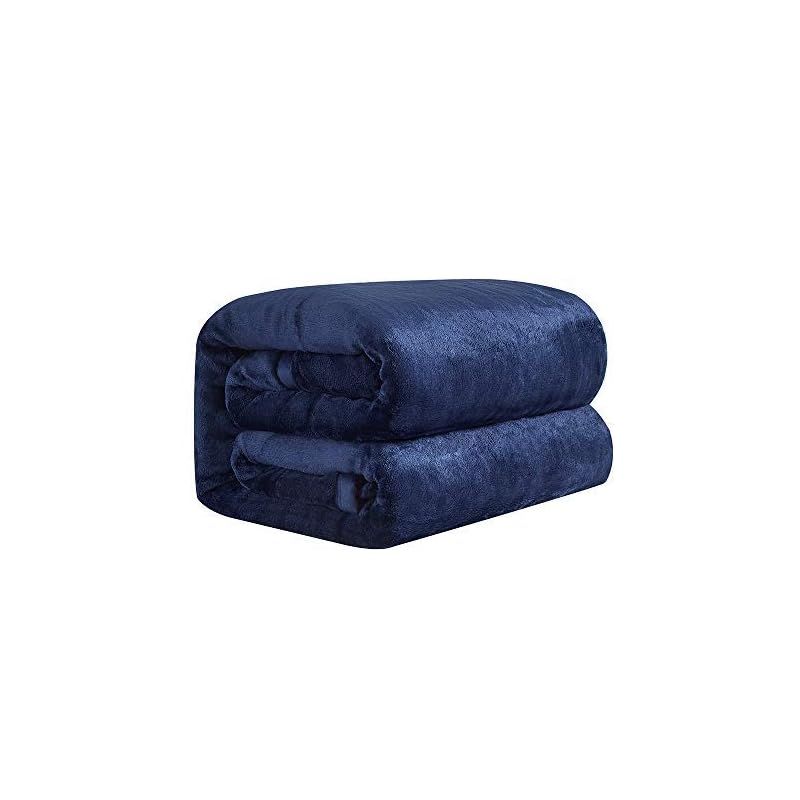 清水義久先生の出雲・天照大神セミナー 公式 闇を消して神様から愛さ