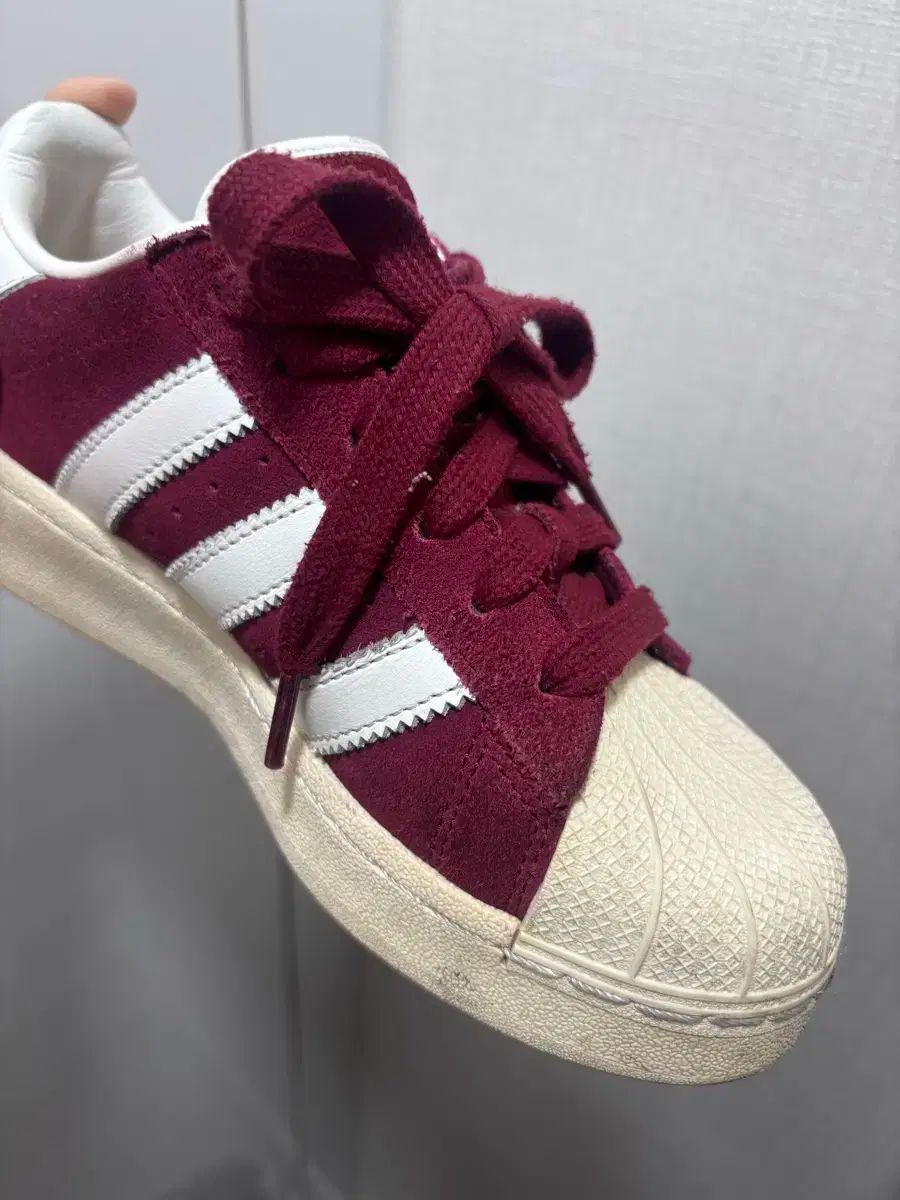 アディダス キャンパス 00s バーガンディ 220