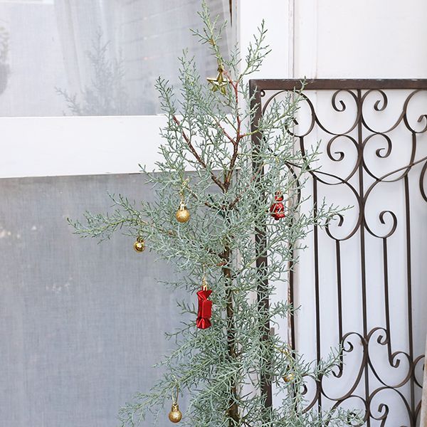 コニファー＆チェッカーベリー