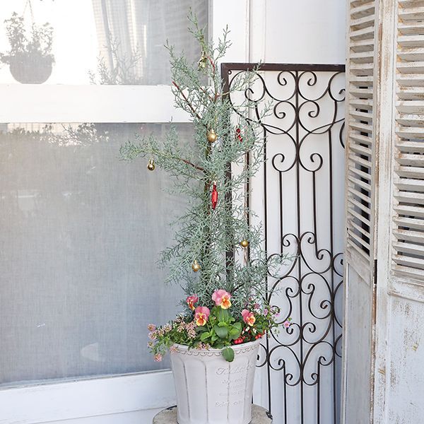 現品販売 ツリー