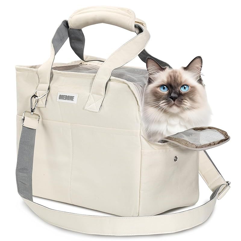 当時物希少絶版パーツモンキー用BOSCH製異形凸凹レンズ付きヘッドライト