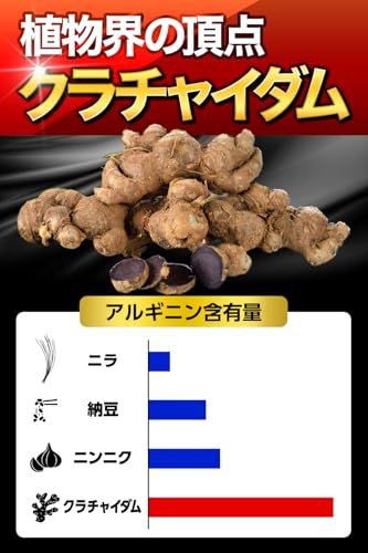  NHK出演医師が推奨 漲天 ちょうてん すっぽん クラチャイダム アルギニン テストフェン トンカットアリ 15日分 45粒 1袋 d 385 399 その他 キッチン 食器