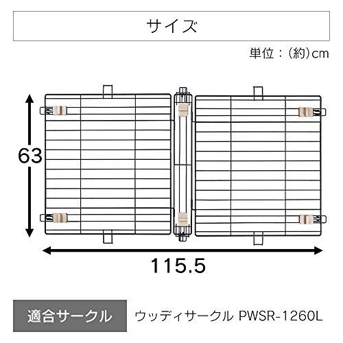 1センチメートル 1