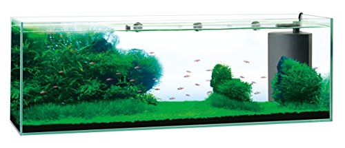 ジェックス GEX グラステリアサイレント900スリム サイレントフロー付属 水槽3年保証 幅90 cmワイドタイプフレームレス水槽W 90 D 22 H 30 cm 約54 L 07170 bee