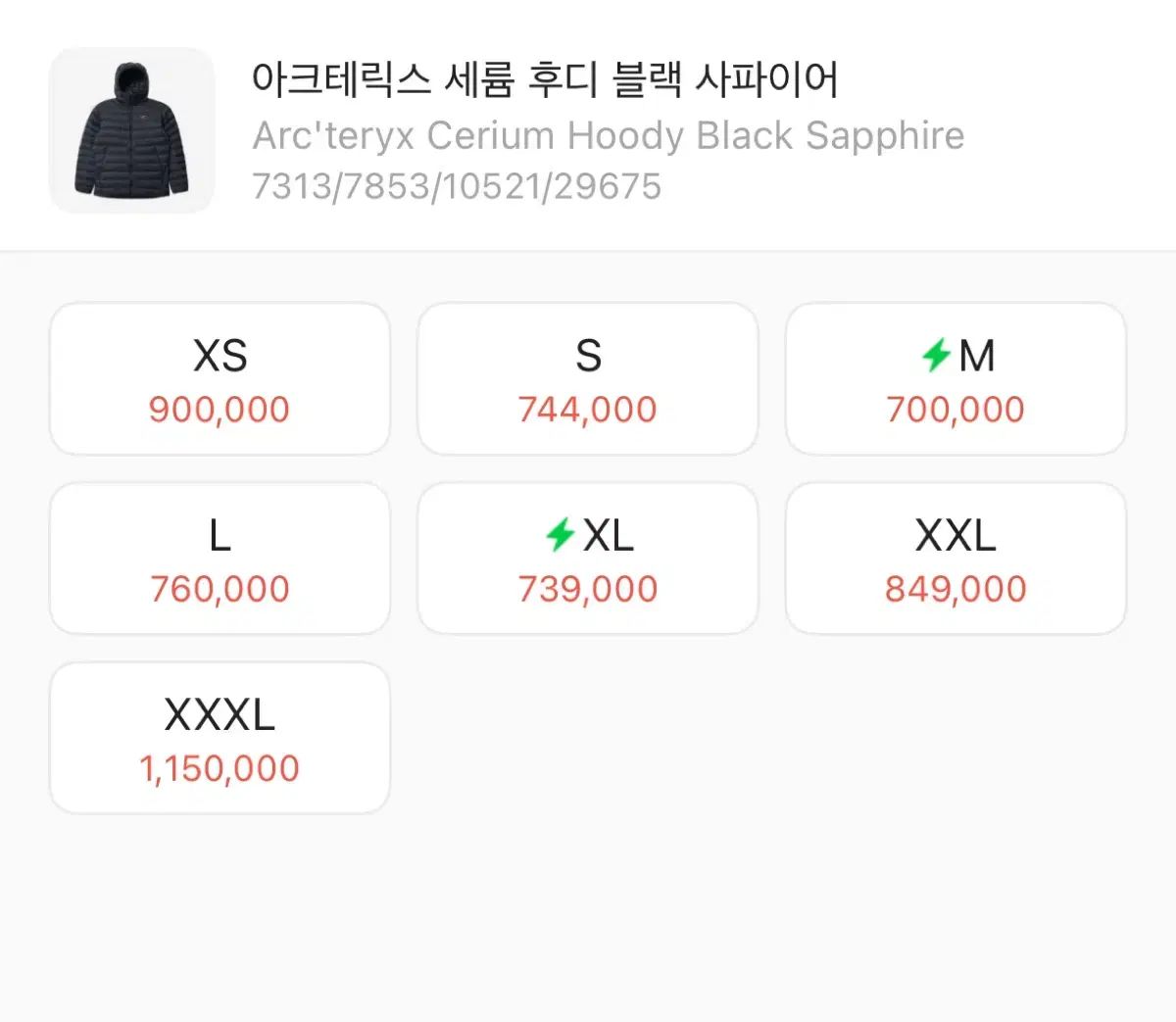 ARC TERYX Cerium アークテリクス セリウム xl