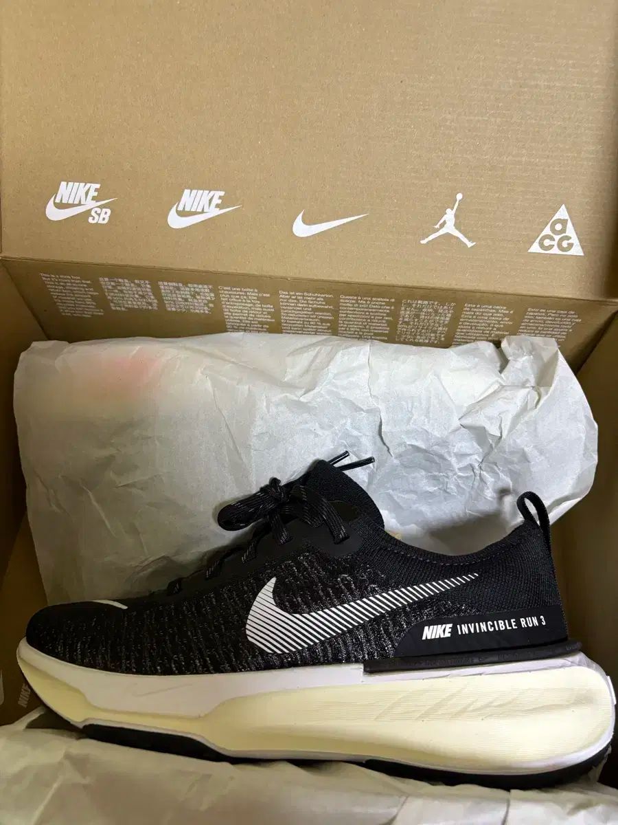 ナイキ ズーム インヴィンシブル 3 245