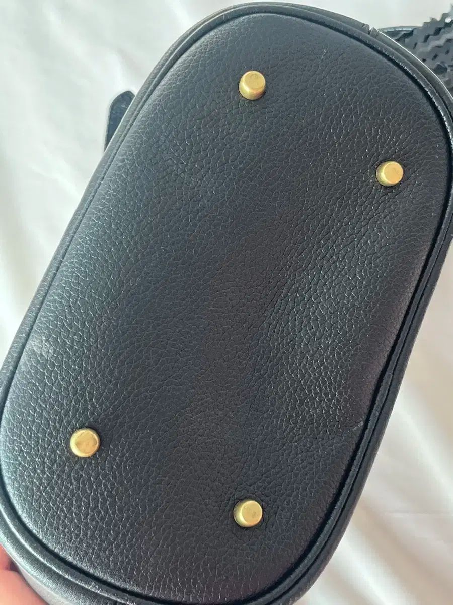 ローラ ウィップタッチ