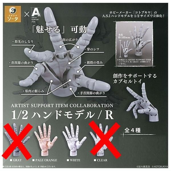 ARTIST SUPPORT ITEM COLLABORATION 1/2 ハンドモデル/R × 2種セット